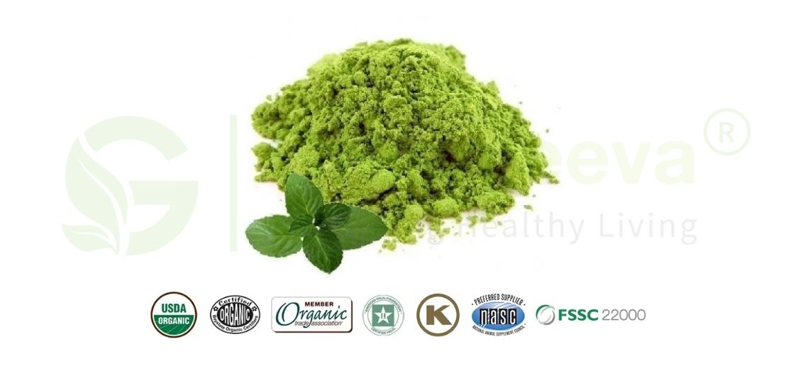 Organic Spearmint Powder in for Food Manufacturing